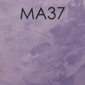 MA37 GREY GRAPE