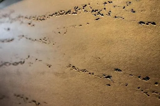 Vellcco Traventino effect